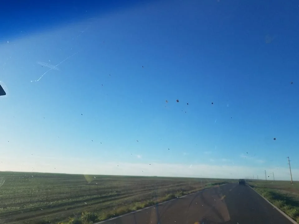50072460_1340468256093841_7873003180479479808_n.jpg